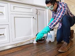 Best Real Estate Pest Inspections  in Black Point Green Point, CA